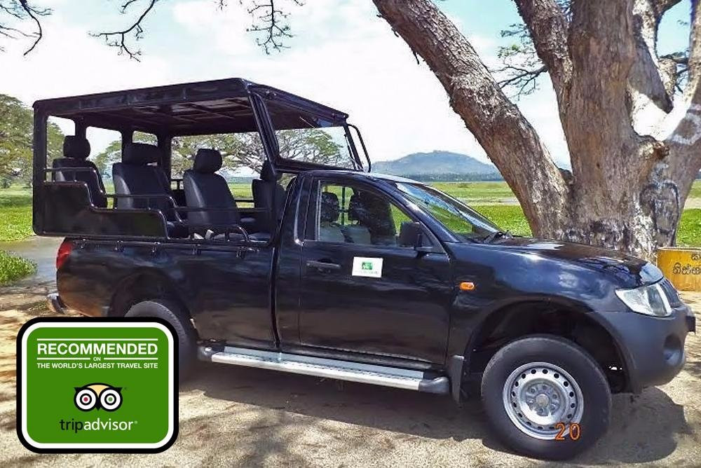 Imperial Safari Jeep Tour景点图片