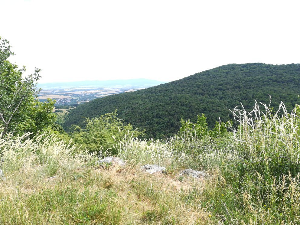 Topolciansky Hrad