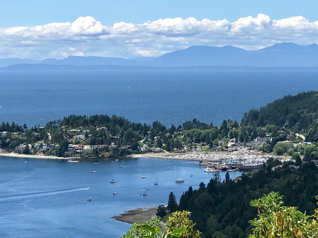 Soames Hill (aka Knob Hill)-吉布森斯必去景点