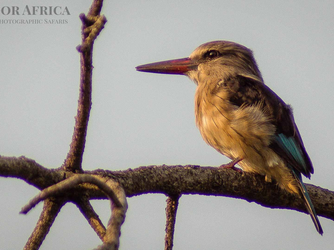 Outdoor Africa-理查兹湾必去景点