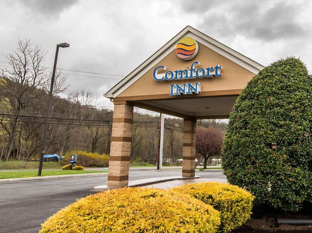 Comfort Inn Atkins - Marion I-81主图