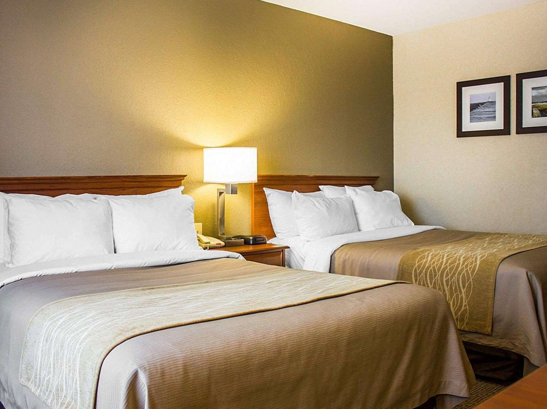 Spark by Hilton Guilford主图