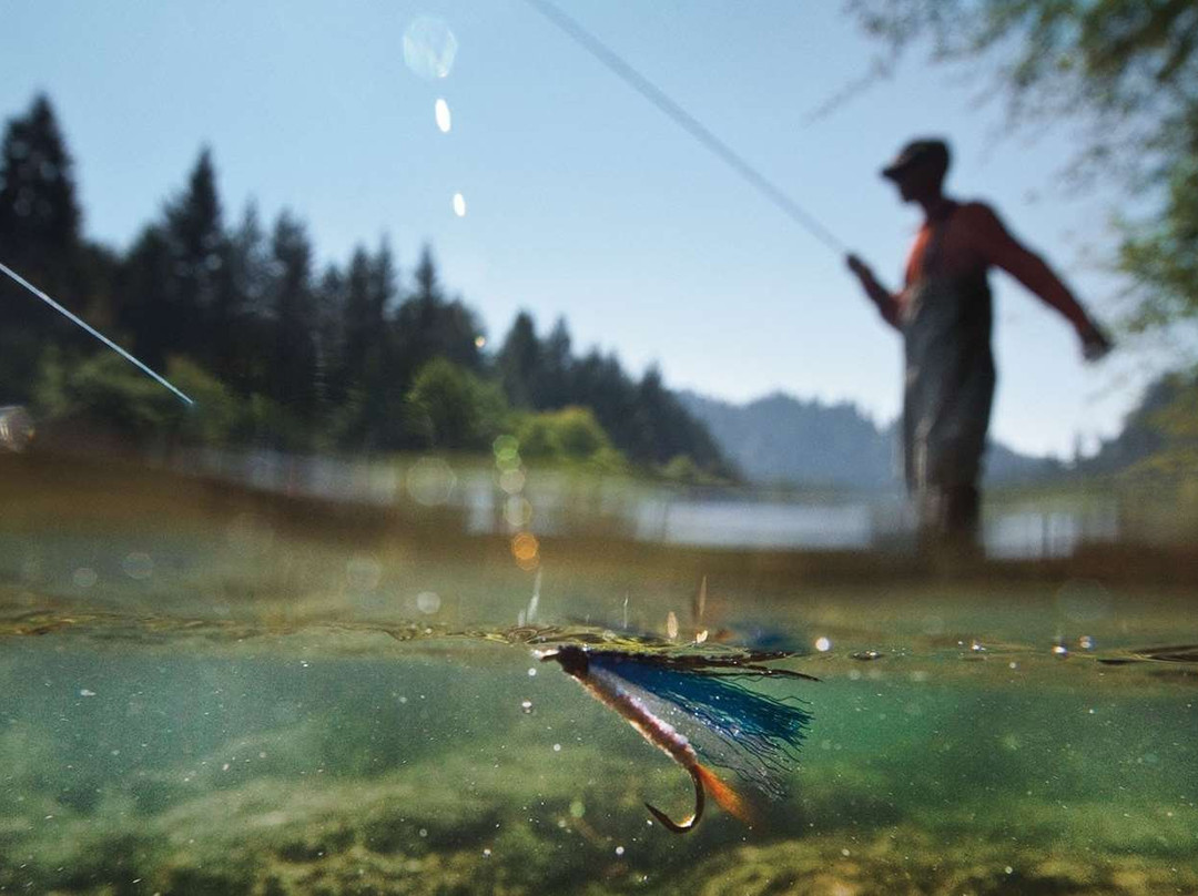 Tulip Inn Sofrino Park Hotel主图