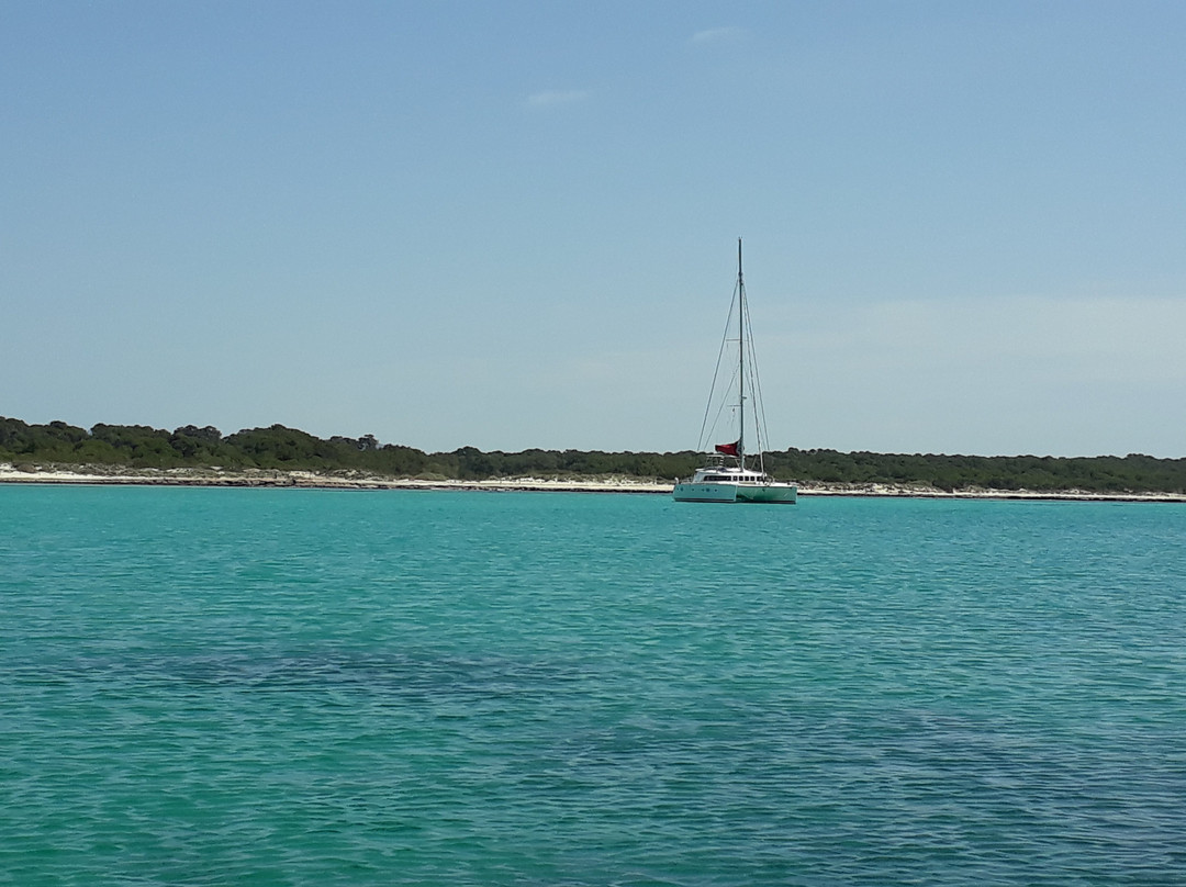 Red Fenix Boats-Campos必去景点