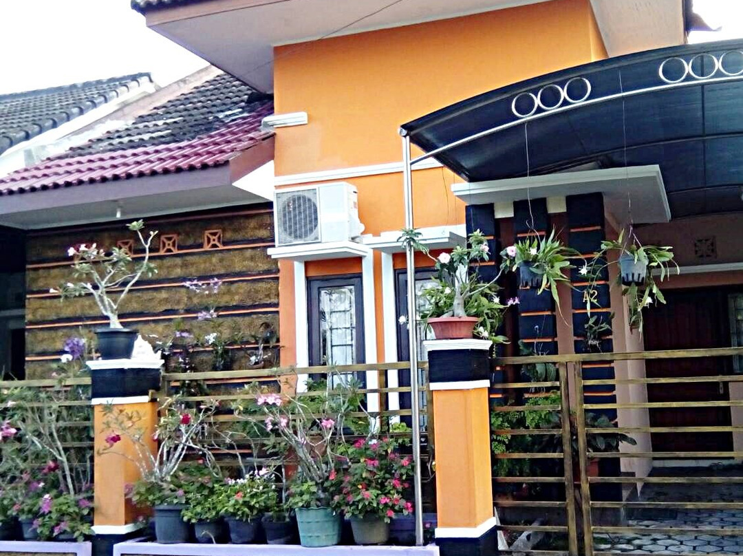 Abu Homestay