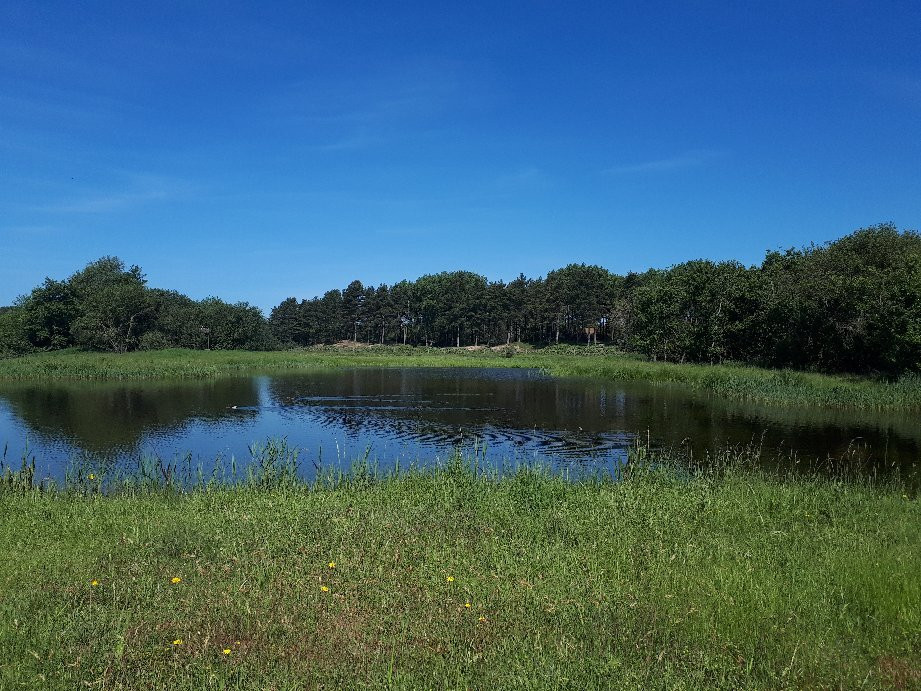 Domaine du Marquenterre景点图片