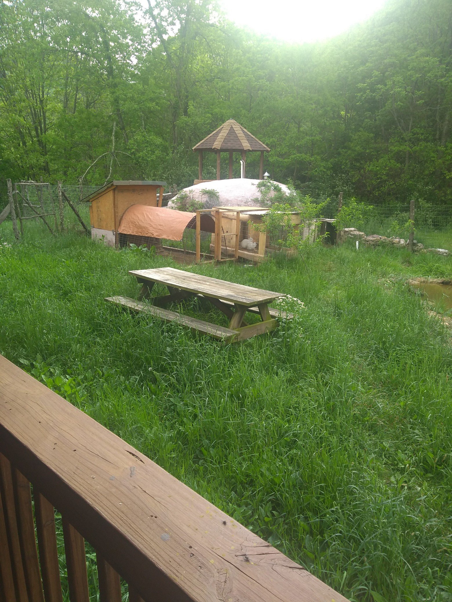 Lost Forest Bed & Breakfast-官方