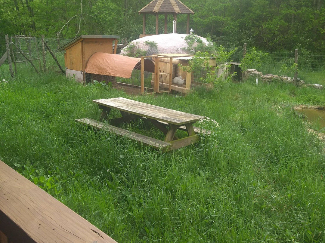 Lost Forest Bed & Breakfast主图