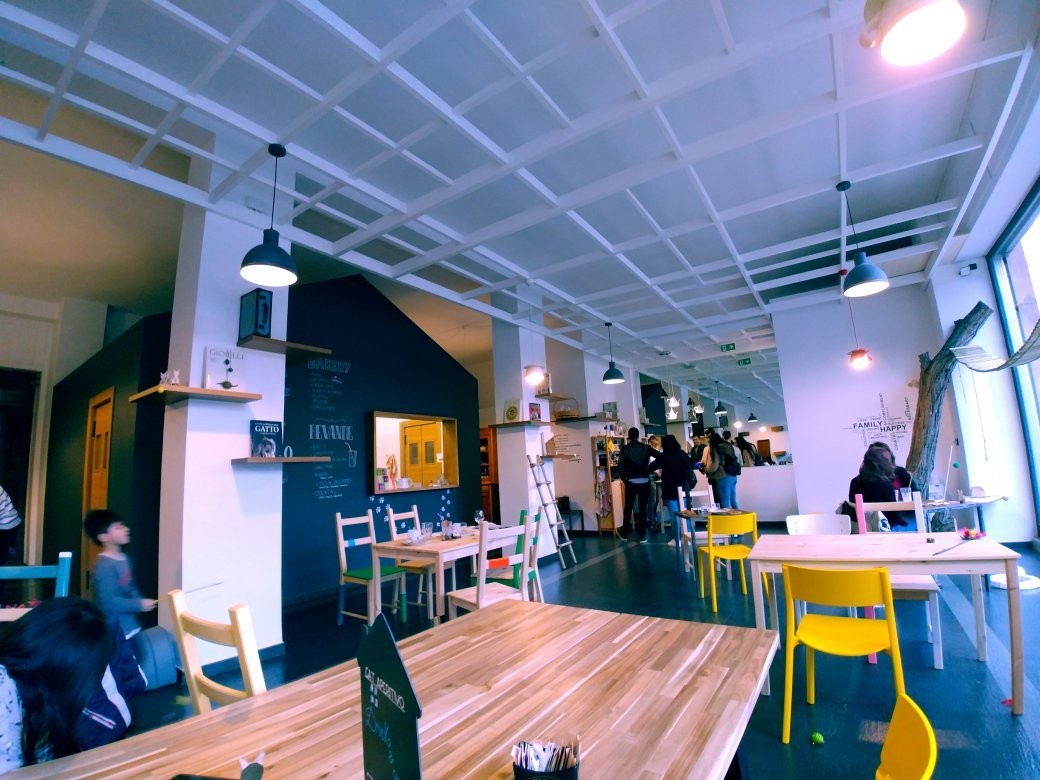 Micibo Cat Cafe'