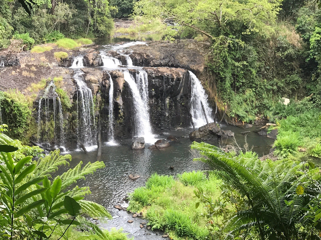 Wooroonooran National Park-Topaz必去景点