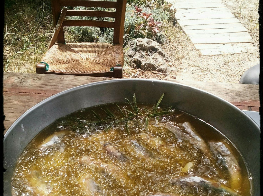Greek Culinary History & Cooking Adventures景点图片
