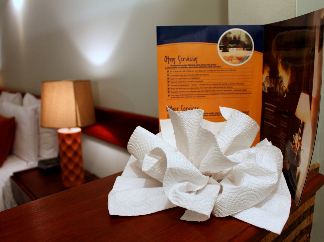 Apartotel Tairona主图