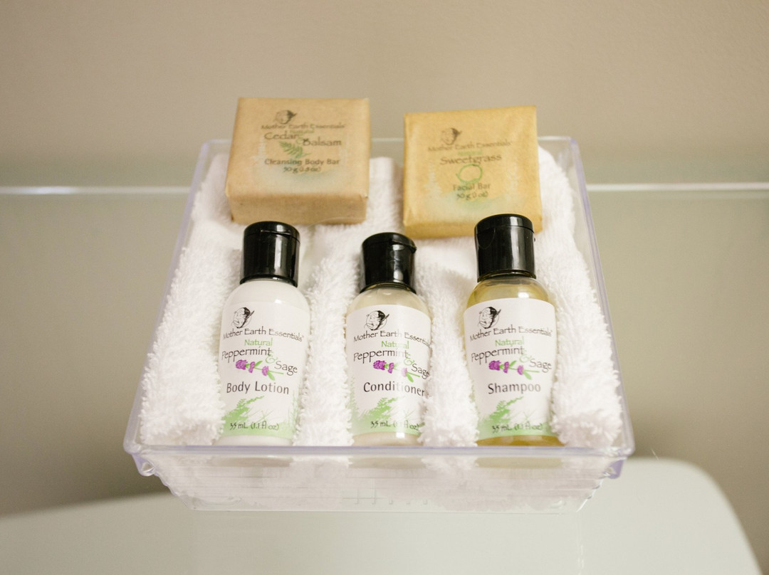 The Sleepy Owl主图