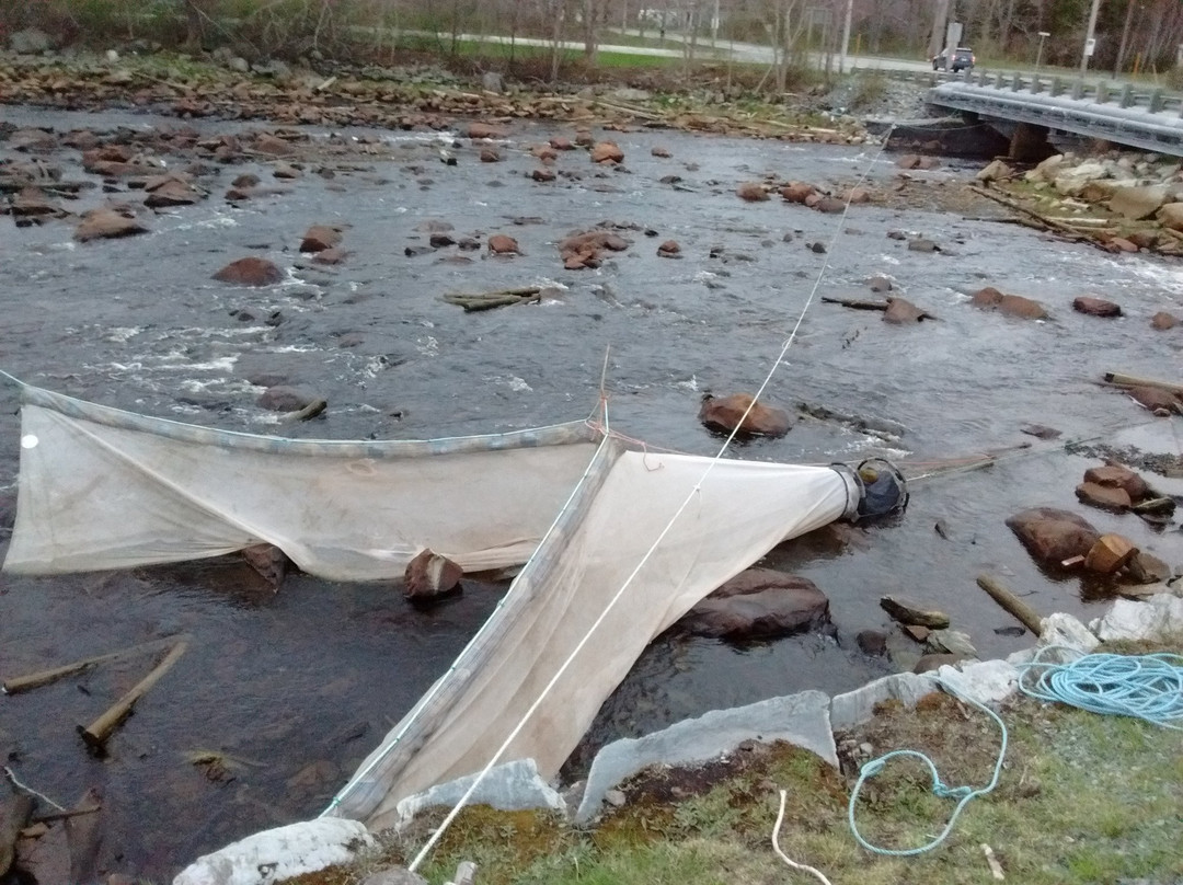 Gallery Guest House B & B主图