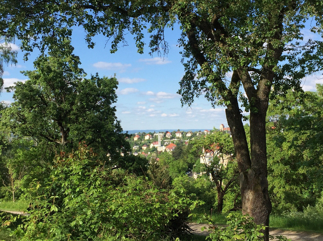 Teehaus, Weissenburg Park景点图片