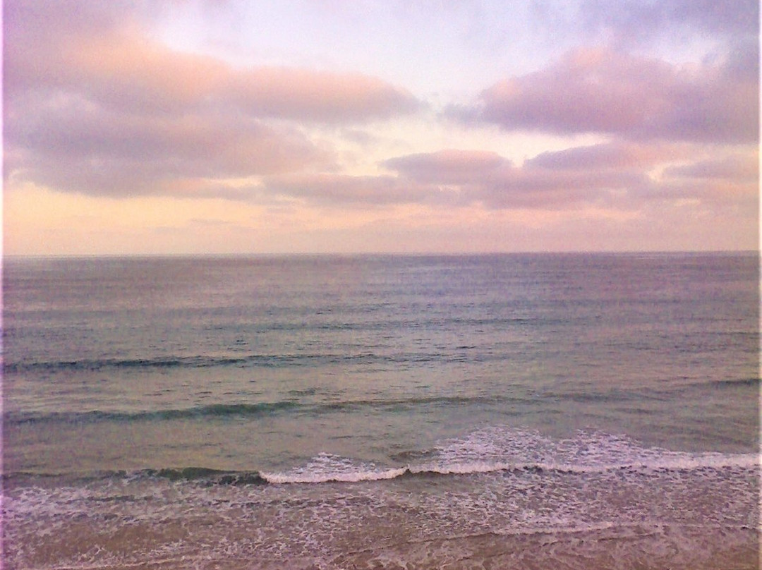 Reef Lookout-Aireys Inlet必去景点