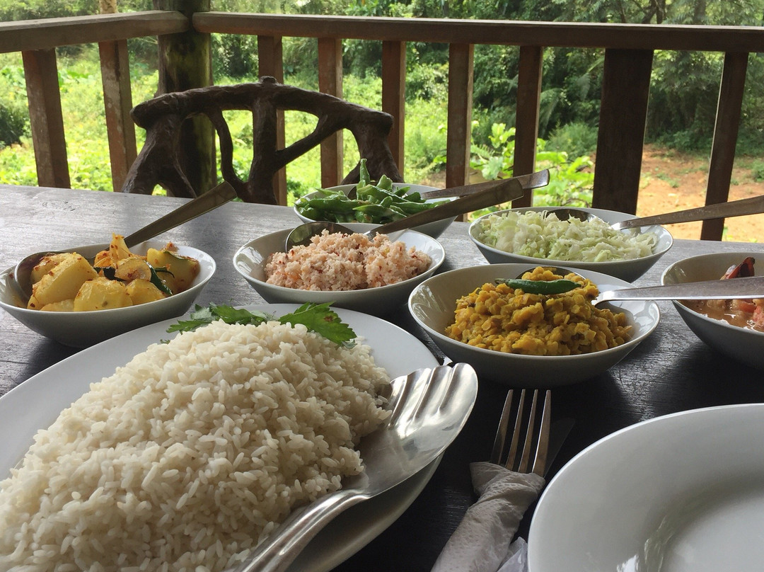 Explore Sinharaja Rain Forest Tour Camp