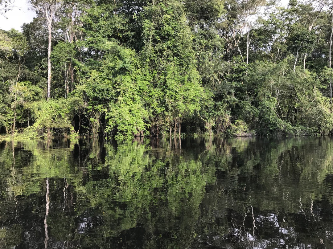 Lago Tarapoto景点图片