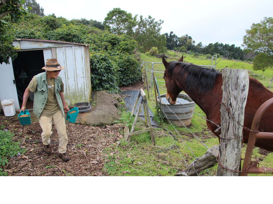 Shim's Coffee Farm-库拉必去景点