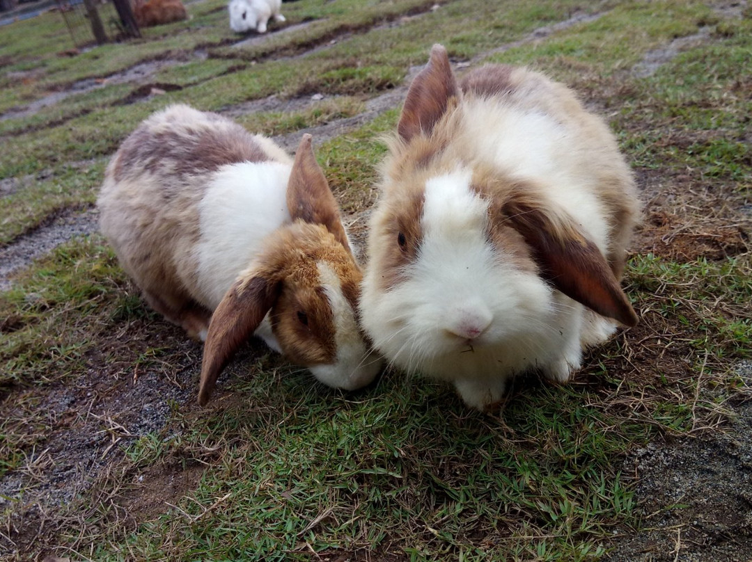 Arnab Village-拉瑙必去景点
