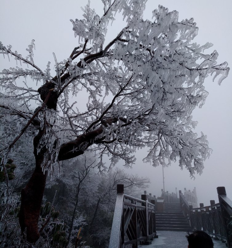 砂岩峰林地质公园-张家界市必去景点