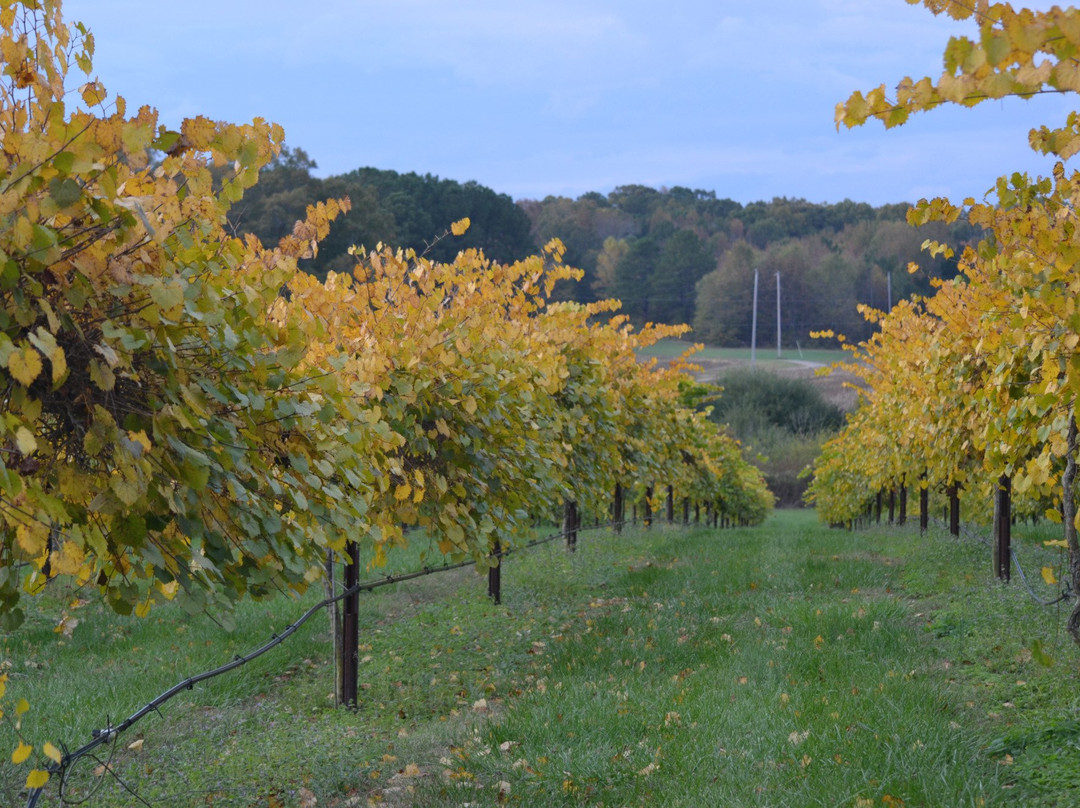 Dennis Vineyards Winery景点图片