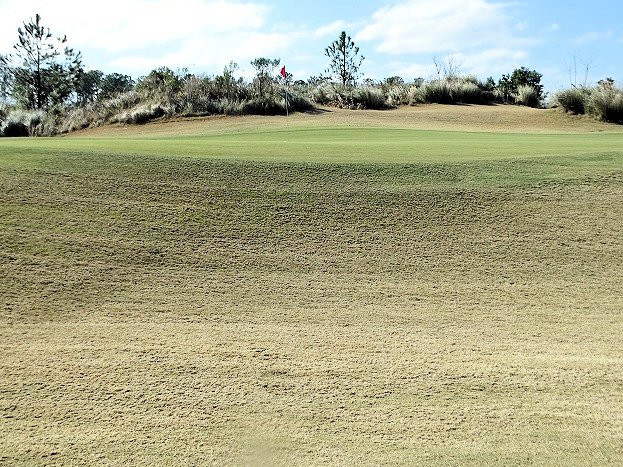 The Golf Club at North Hampton-费尔南迪纳岛必去景点