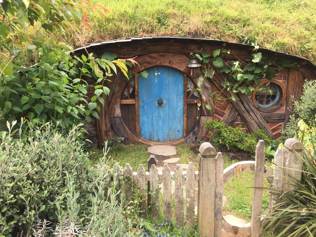 Beautiful Nature Tours Auckland-奥克兰中心地区必去景点