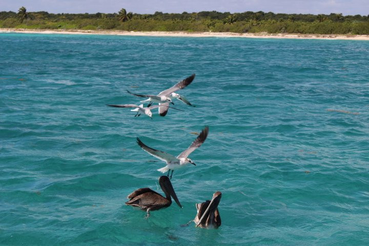 Playa Yacht Charters-普拉亚德尔卡曼必去景点