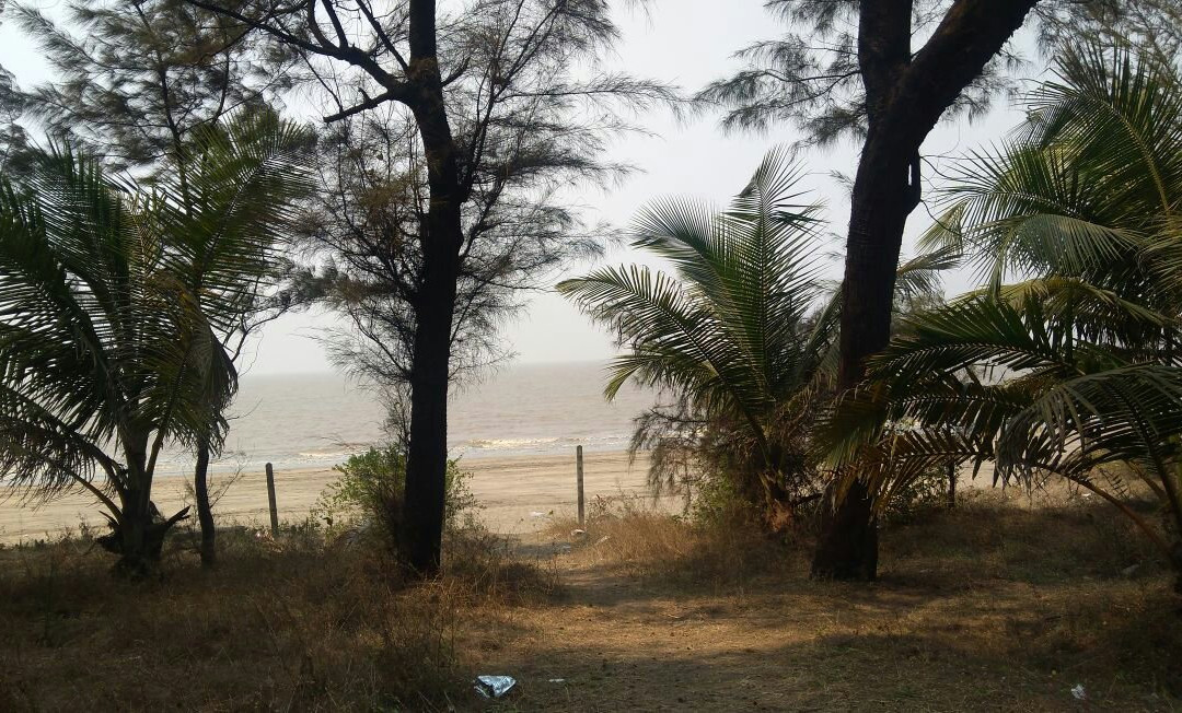 Dahanu Beach-Dahanu必去景点