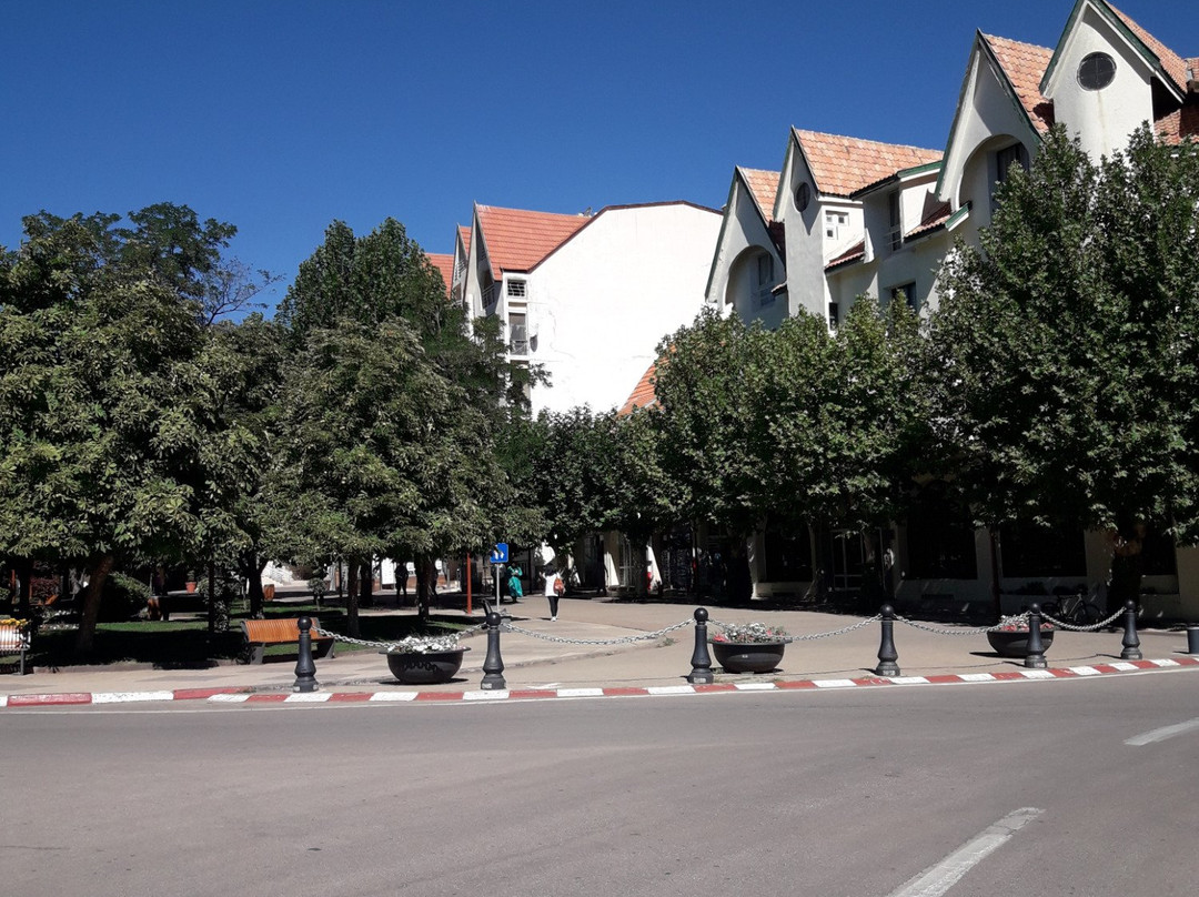 Ifrane National Park景点图片