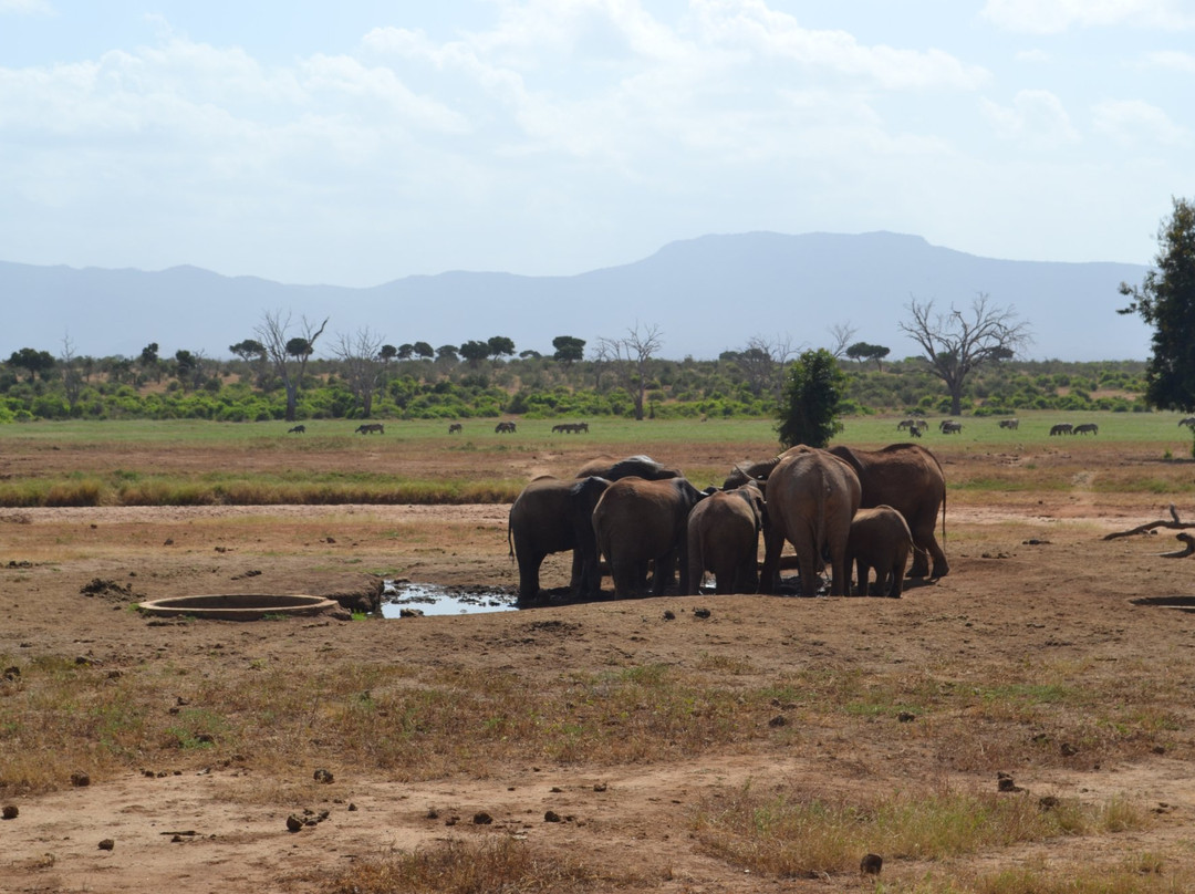 Sentrim Tsavo Lodge主图