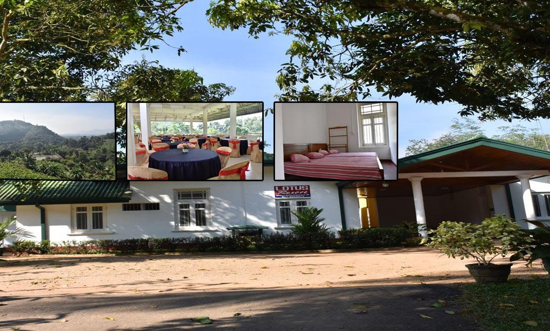 Lotus Resort主图