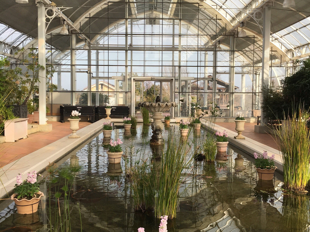 旬菜食健ひな野 松阪ベルファーム店