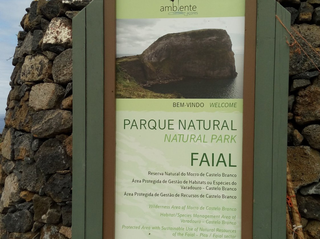 Morro de Castelo Branco-Faial Island必去景点