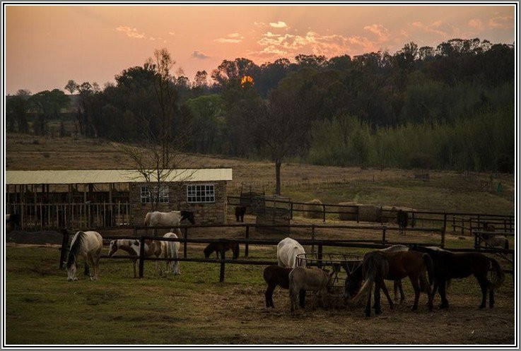 Ventersberg Stables-Fouriesburg必去景点