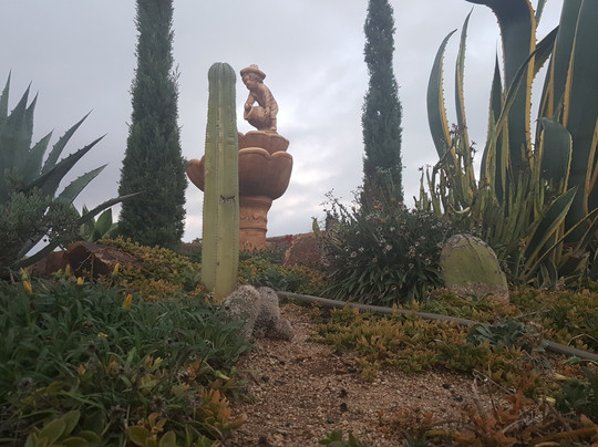 Hotel Meson del Vino主图