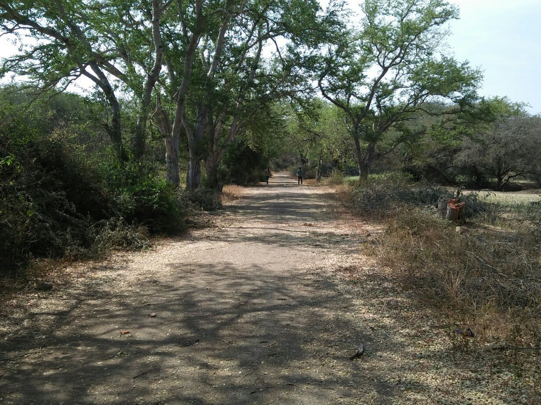 Bankapura Peacock Sanctuary景点图片
