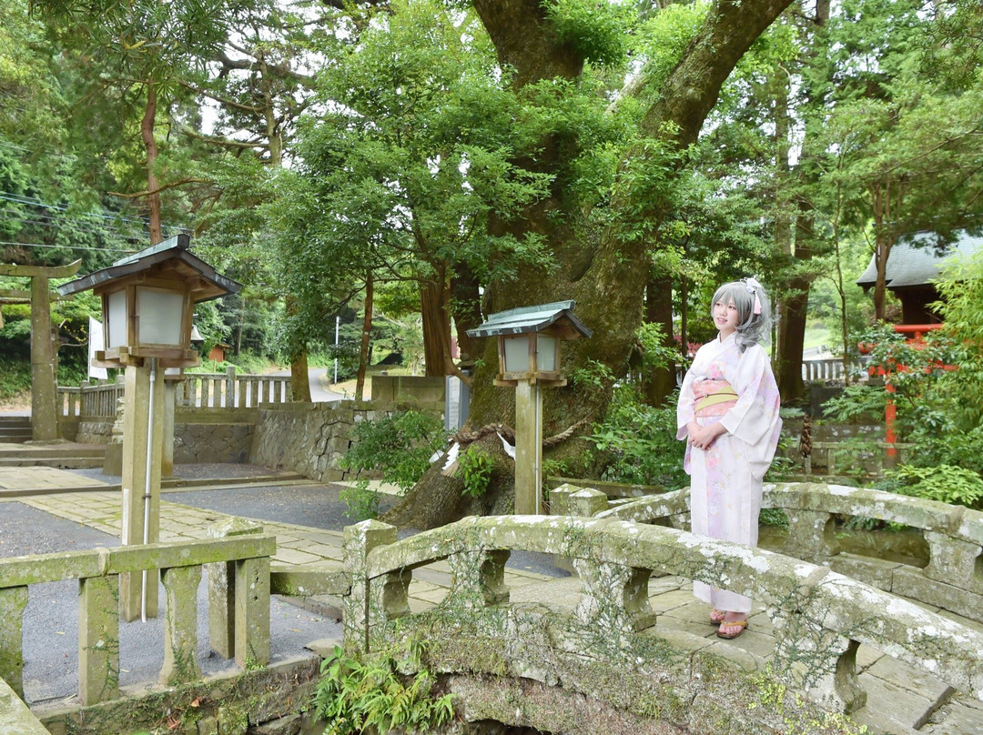 Sumiyoshi Shrine景点图片