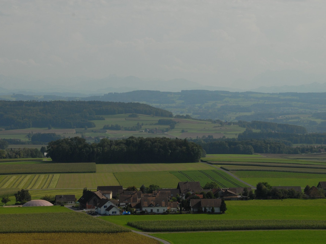 Napoleonturm Hohenrain-Waldi必去景点