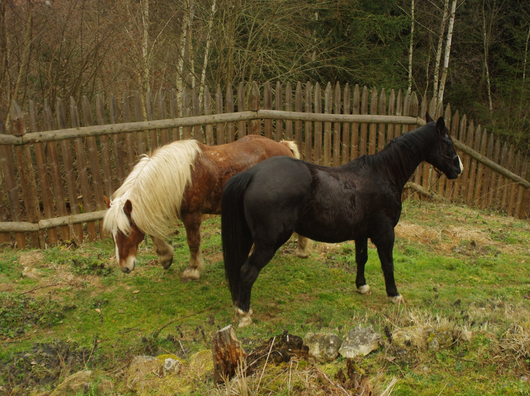 Ruins of Pořešín Castle-卡普利采必去景点