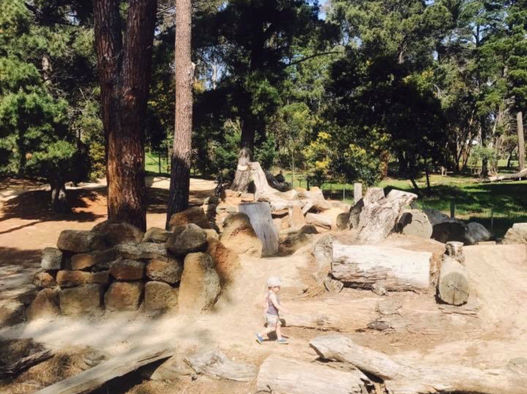 Anglesea Bike Park-安格尔西岛必去景点