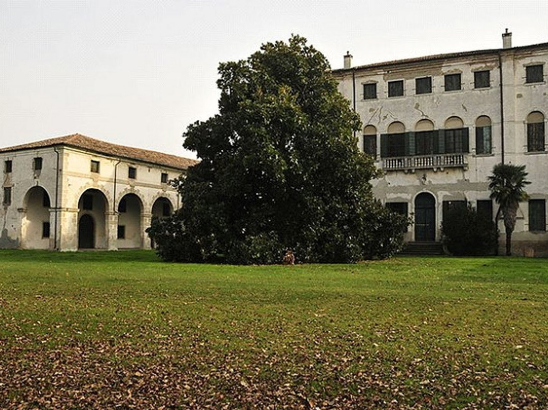 Palazzo Priuli di Piove di Sacco景点图片