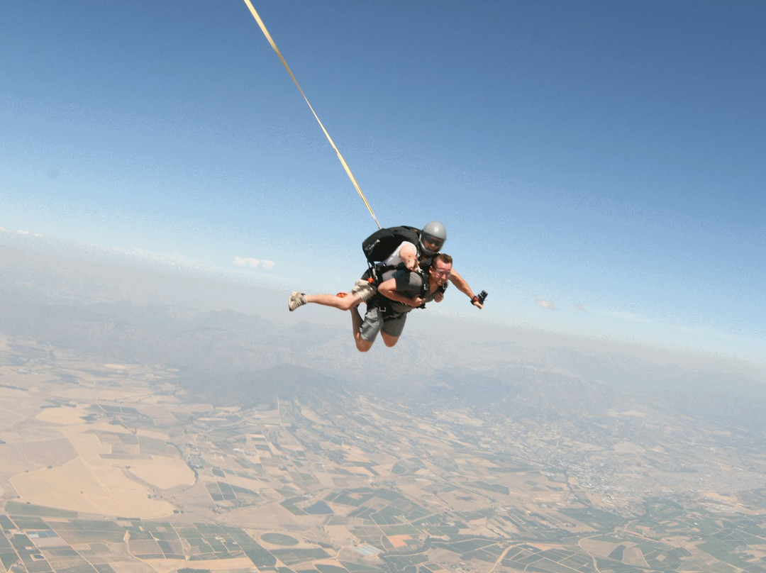 Skydive Two Oceans-惠灵顿必去景点