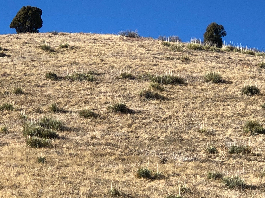 Matthews/Winters Park-戈尔登必去景点