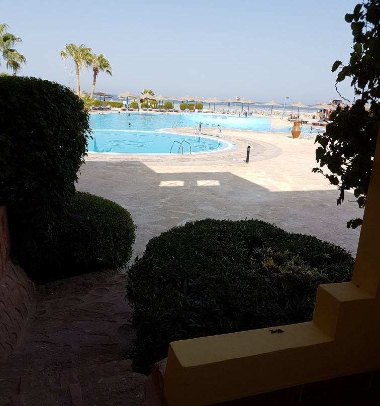 Marsa Alam Excursies-马萨阿拉姆必去景点