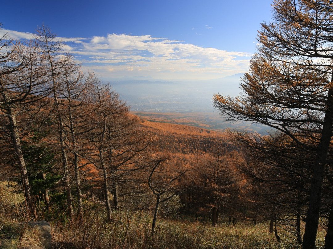 Takamine Kogen景点图片