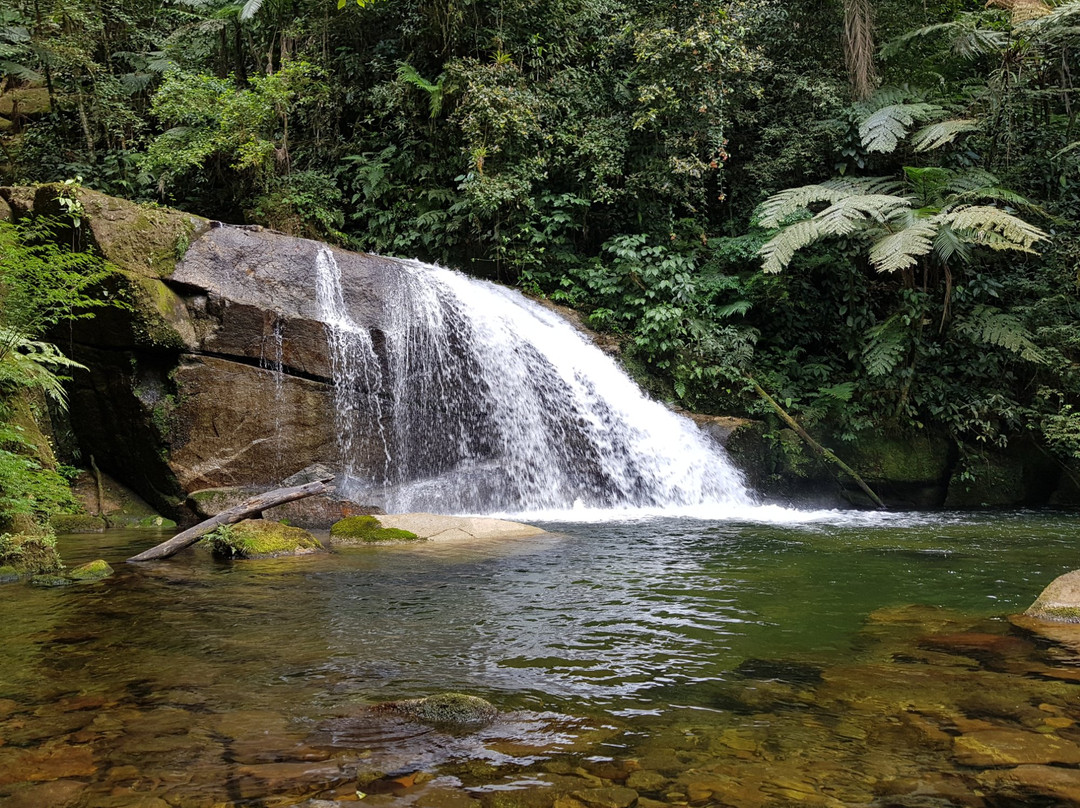 Cachoeira do Ribeirão Branco-Sete Barras必去景点