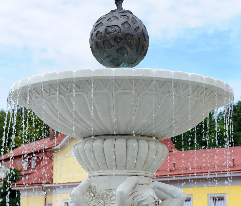 Spa Resort Libverda - Hotel Panorama主图
