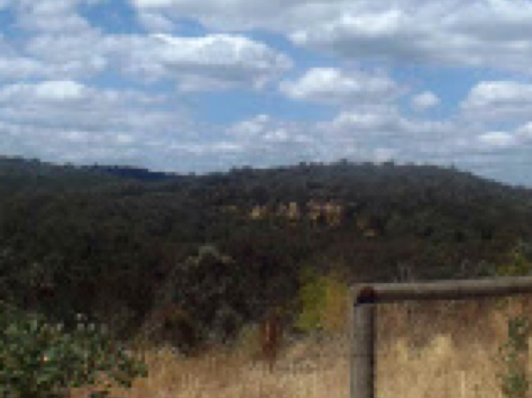 Longridge Park景点图片